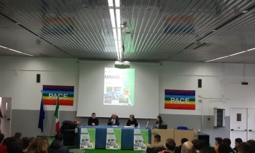 Erasmus Article Preview